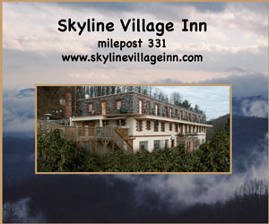 Skyline Village Inn