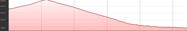 Diamondback Elevation Profile