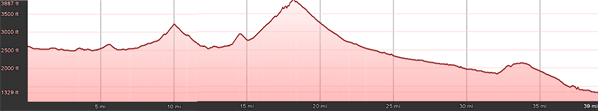 The Rattler Elevation Profile