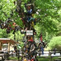 The Tree of Shame