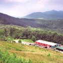 Historic Orchard at Altapass BRP Milepost 328