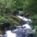 Curtis Creek in McDowell County