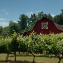 South Creek Barn in McDowell County